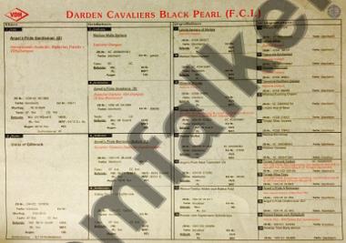 Darden Cavaliers Black Pearl