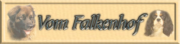 Unser Banner