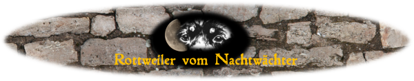 Rottweiler vom Nachtw�chter