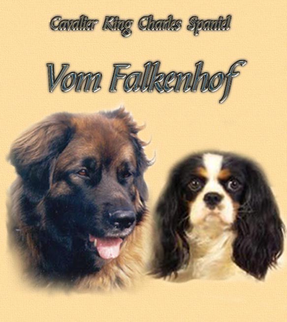 Vom Falkenhof